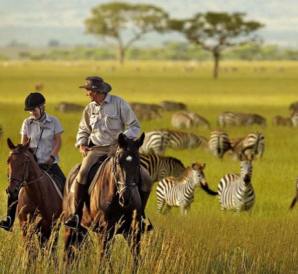 Serengeti National Park Park